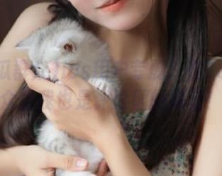 ios用户专属：在58吃瓜群众里我也是评论区的明星！