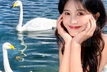 在线观看“瓜”事频传，92吃瓜网让你永不迷路，嗨翻一夏！