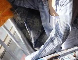 登录免费吃瓜网，和我一起在“八卦风暴”中摇摆吧！