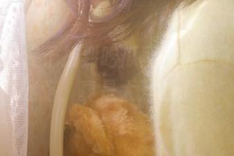 终于找到吃瓜网的入口了，永不迷路，真是太开心了！