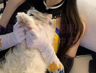 吃瓜心态养成指南：最新吃瓜网91教你如何在八卦中巧妙生存！