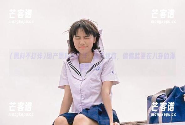 国产黑料不打烊：永不迷路，偏偏就要在八卦的海洋里游泳！