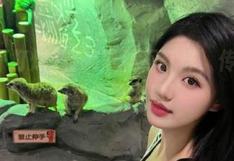 登录黑料不打烊，传送门里藏着摊子大瓜！